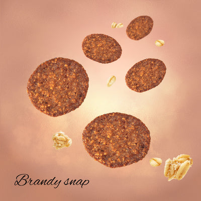 Brandy Snap Cookie Carton - 120gm